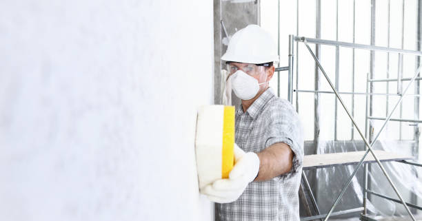  Ladera, CA Mold Removal & Remediation Pros