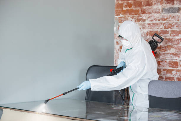 Best Mold Remediation for Healthcare Facilities  in Ladera, CA