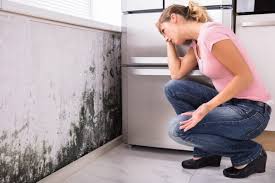 Best Air Quality Testing for Mold Spores  in Ladera, CA