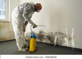 Best Basement Mold Removal  in Ladera, CA